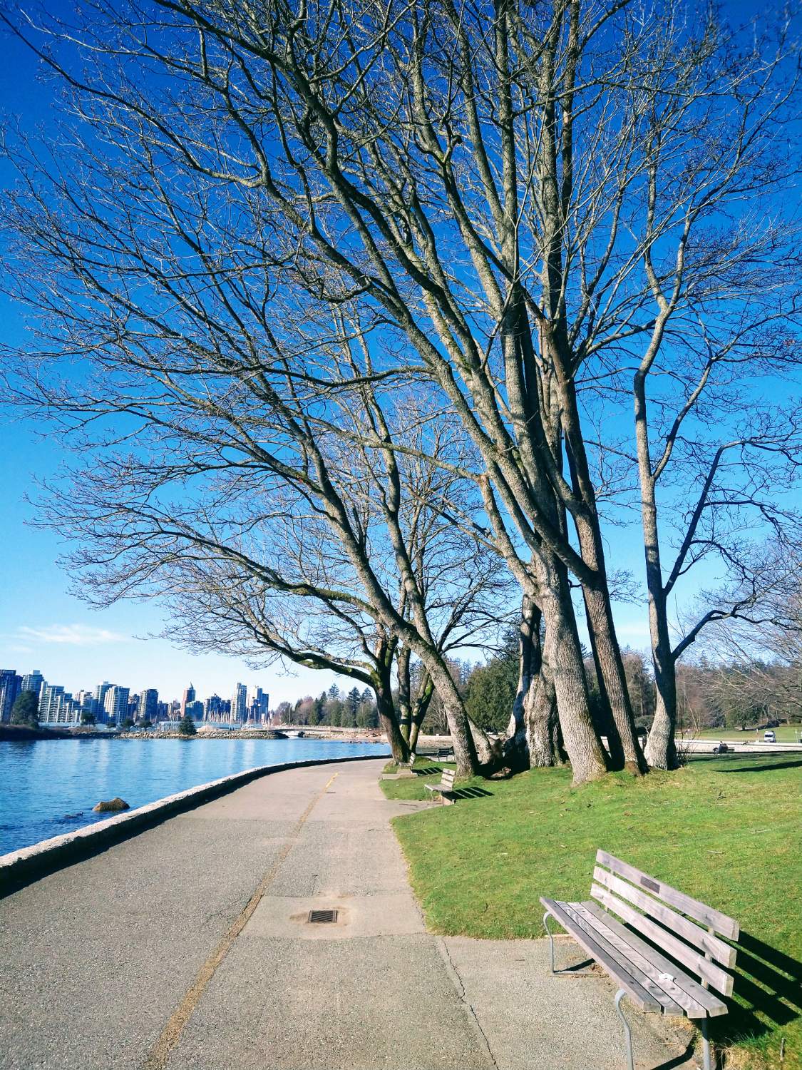 Solve Vancouver jigsaw puzzle online with 130 pieces