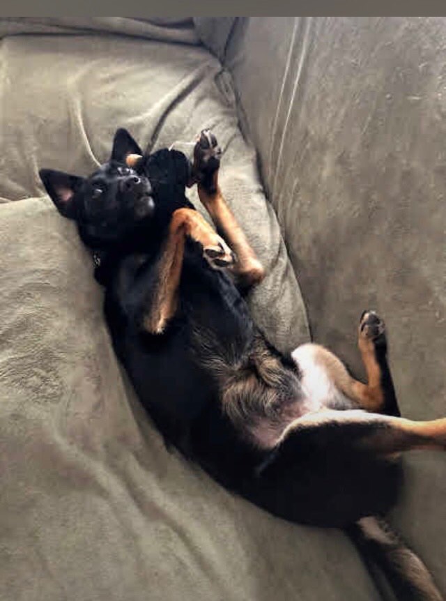 Solve Upside down jigsaw puzzle online with 88 pieces