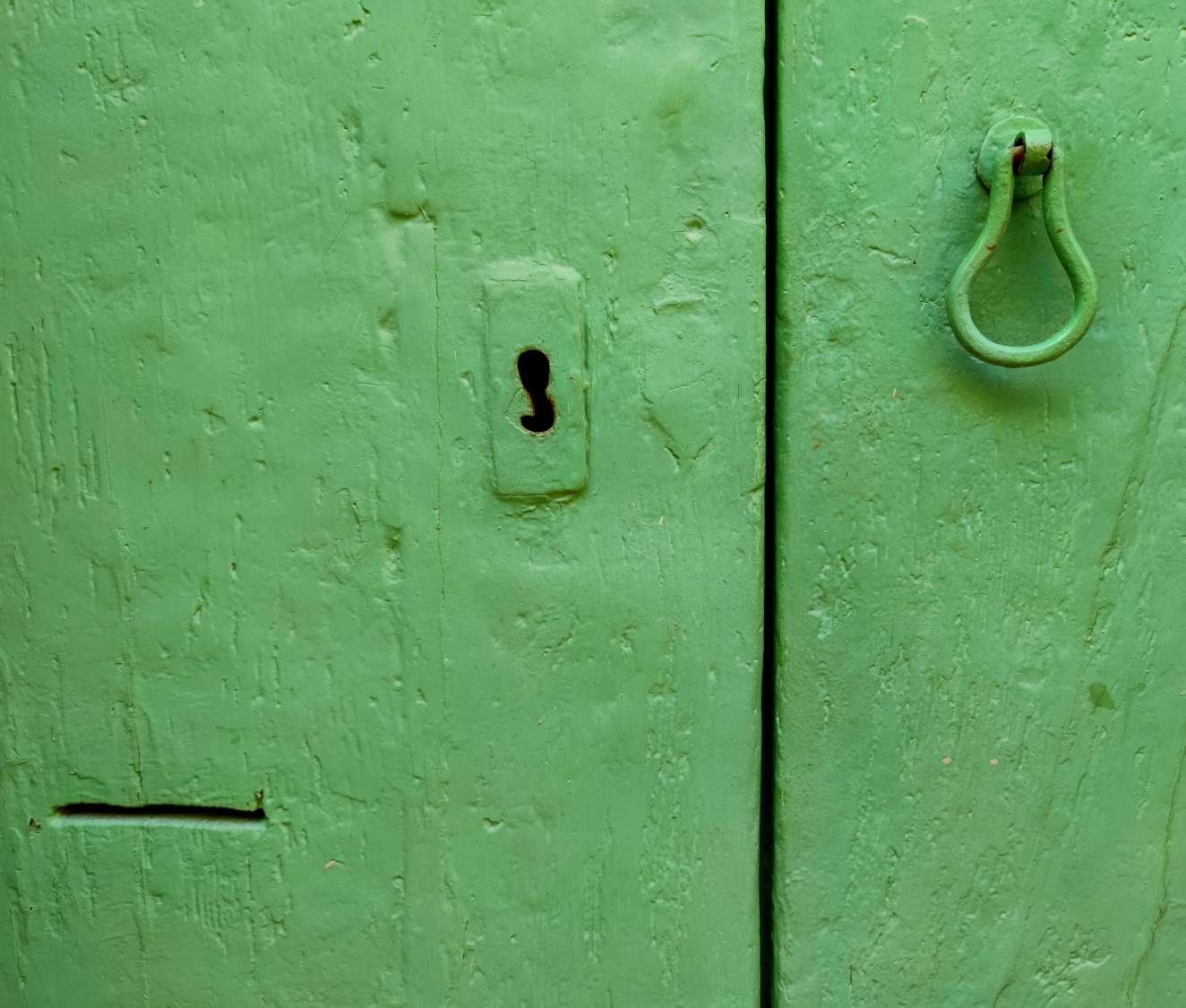 Solve Green Door Knocker jigsaw puzzle online with 80 pieces