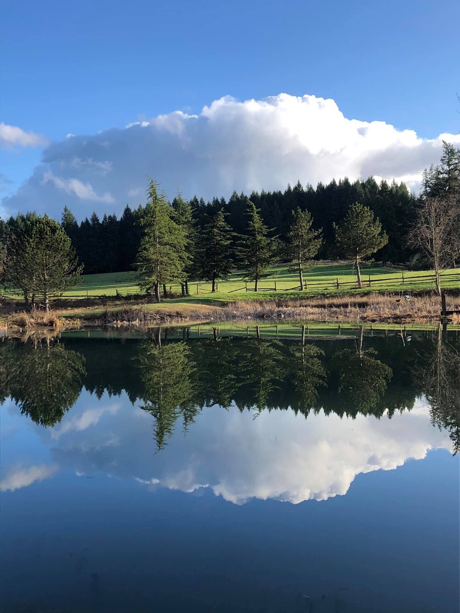 Solve Beavercreek, Oregon Lake On The Farm jigsaw puzzle online with