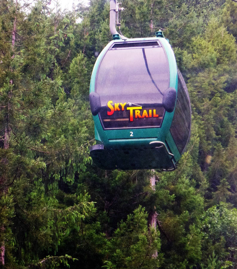 Solve Sky Trail Gondola at Trees of Mystery jigsaw puzzle online with