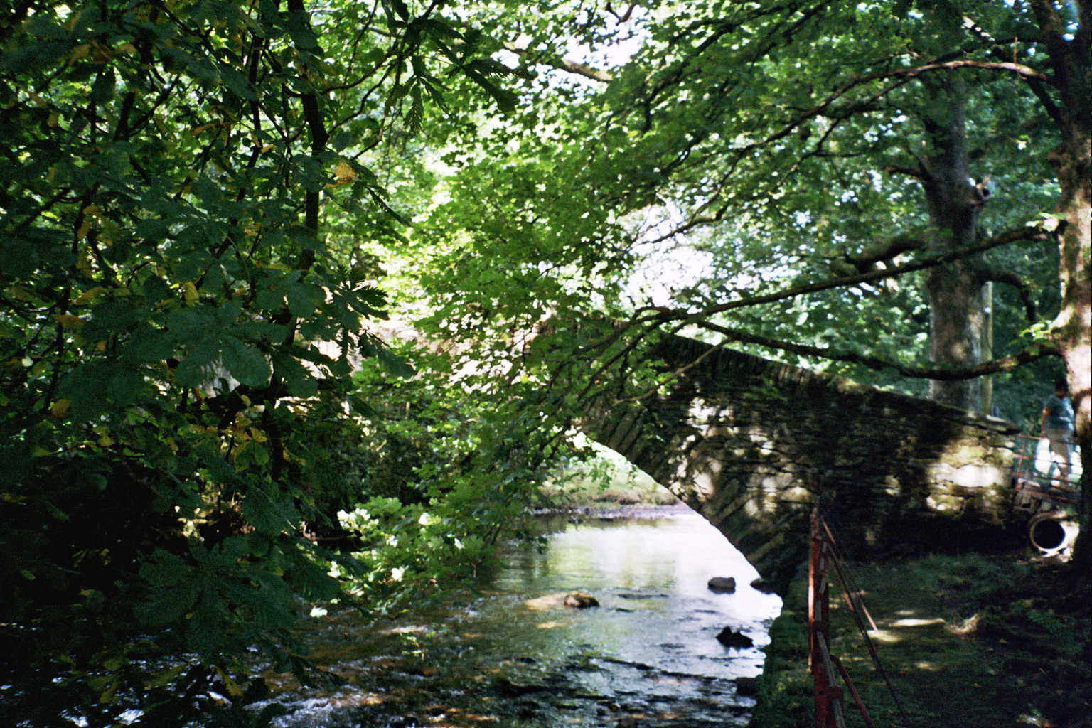 Solve GrasmereCumbria jigsaw puzzle online with 187 pieces