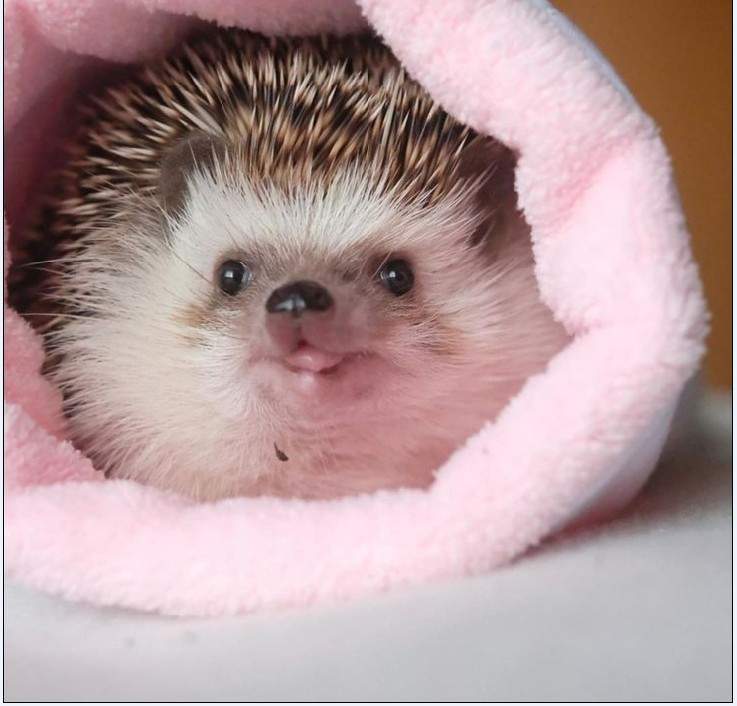 Solve Úsměv_Smile jigsaw puzzle online with 36 pieces