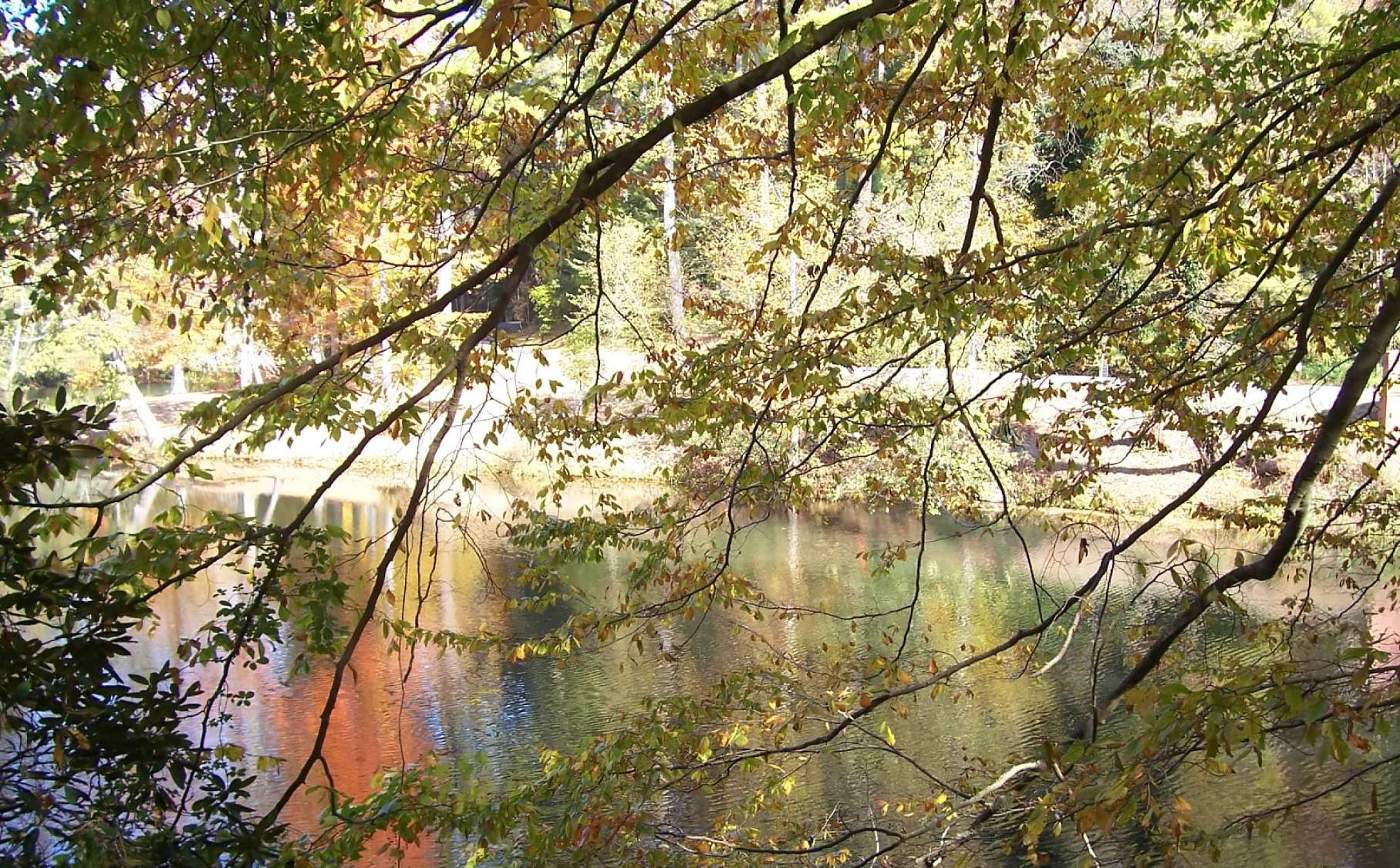 Solve Gatlinburg, TN jigsaw puzzle online with 135 pieces