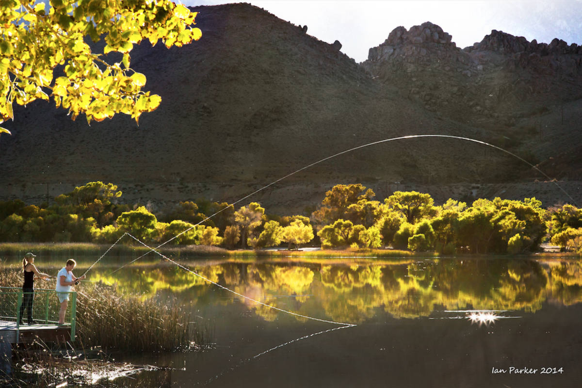 Solve Fly fishing, Diaz Lake jigsaw puzzle online with 77 pieces