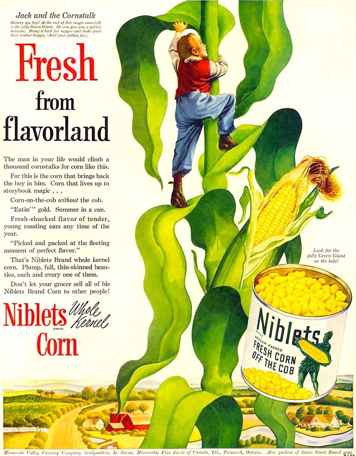 Solve Jack and the Canned Corn jigsaw puzzle online with 336 pieces