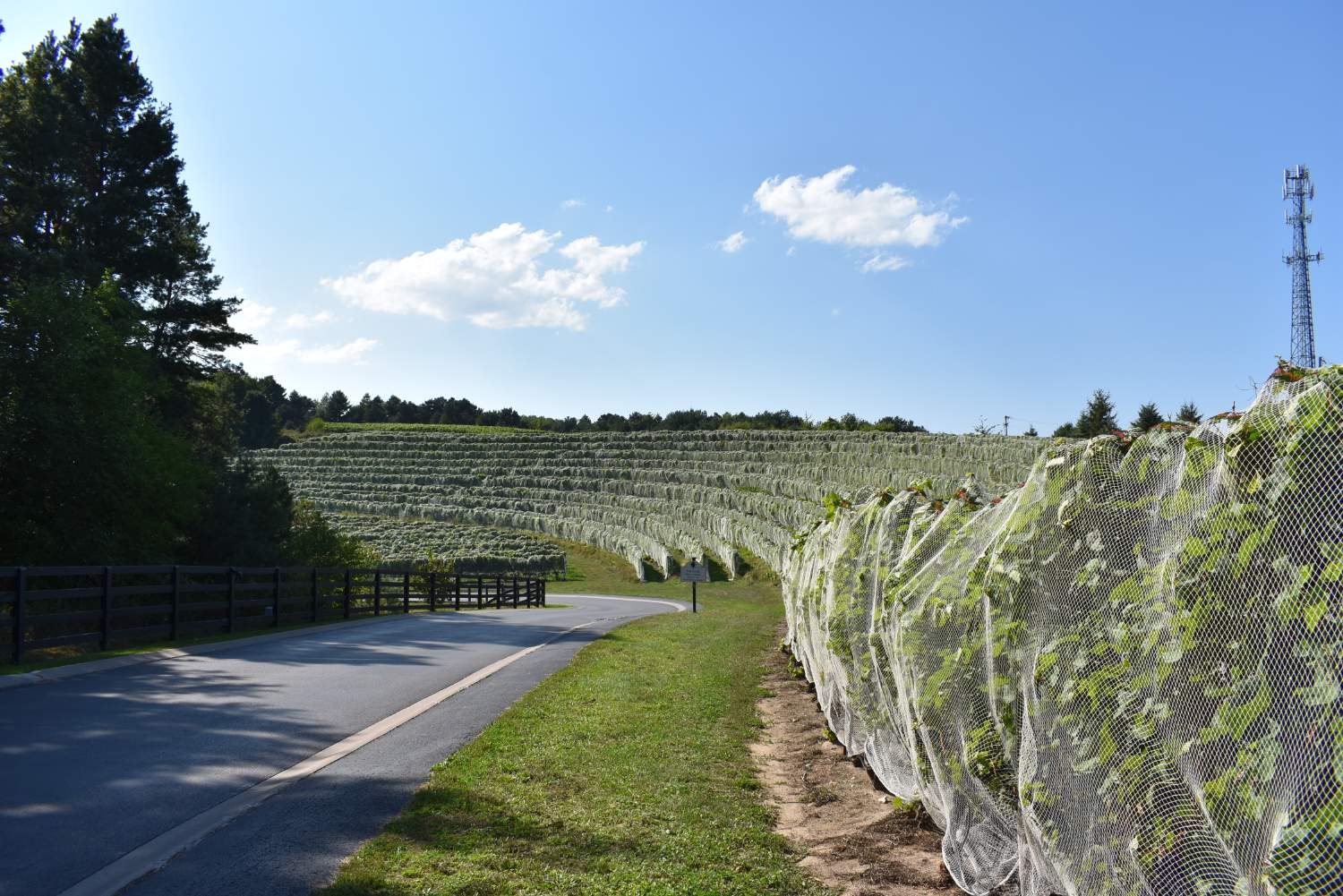 Solve Wine country jigsaw puzzle online with 77 pieces