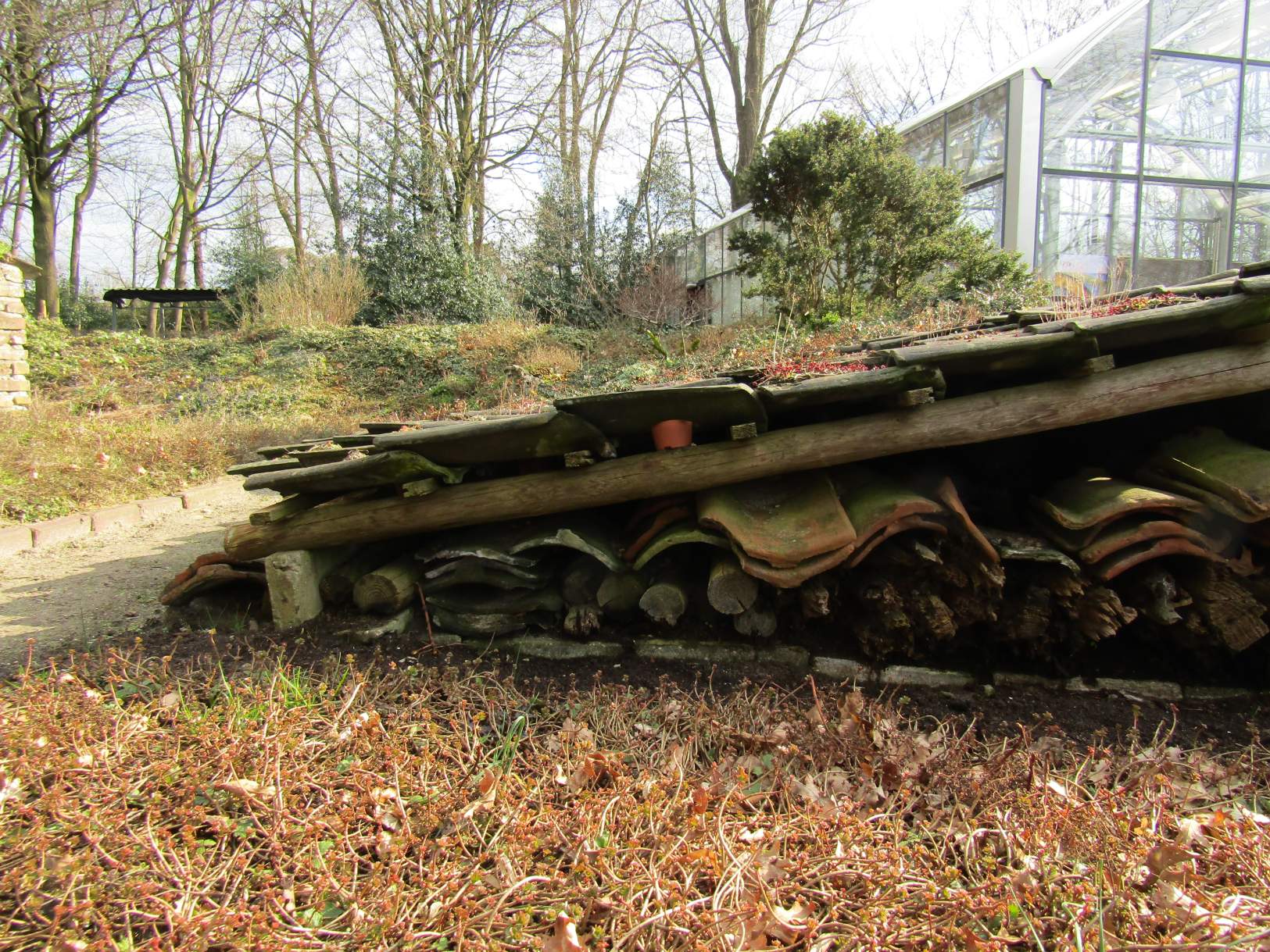Vind houten egel in Tuin en Terras op