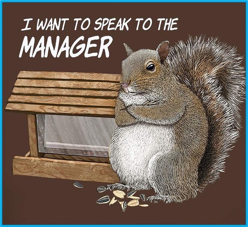 Solve The Squirrel Karen Is NOT Amused About The Empty Bird Feeder