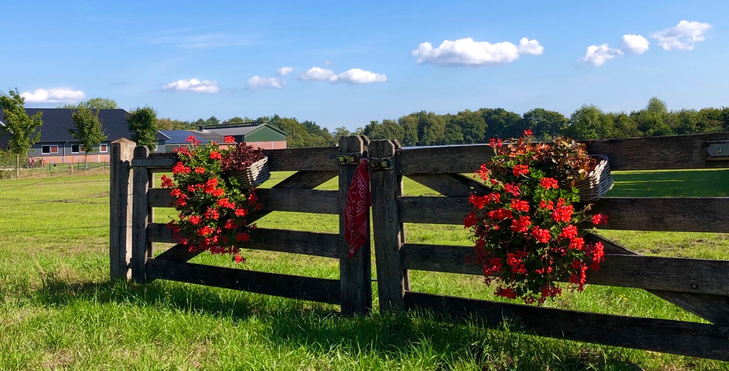 Solve Lunteren jigsaw puzzle online with 72 pieces