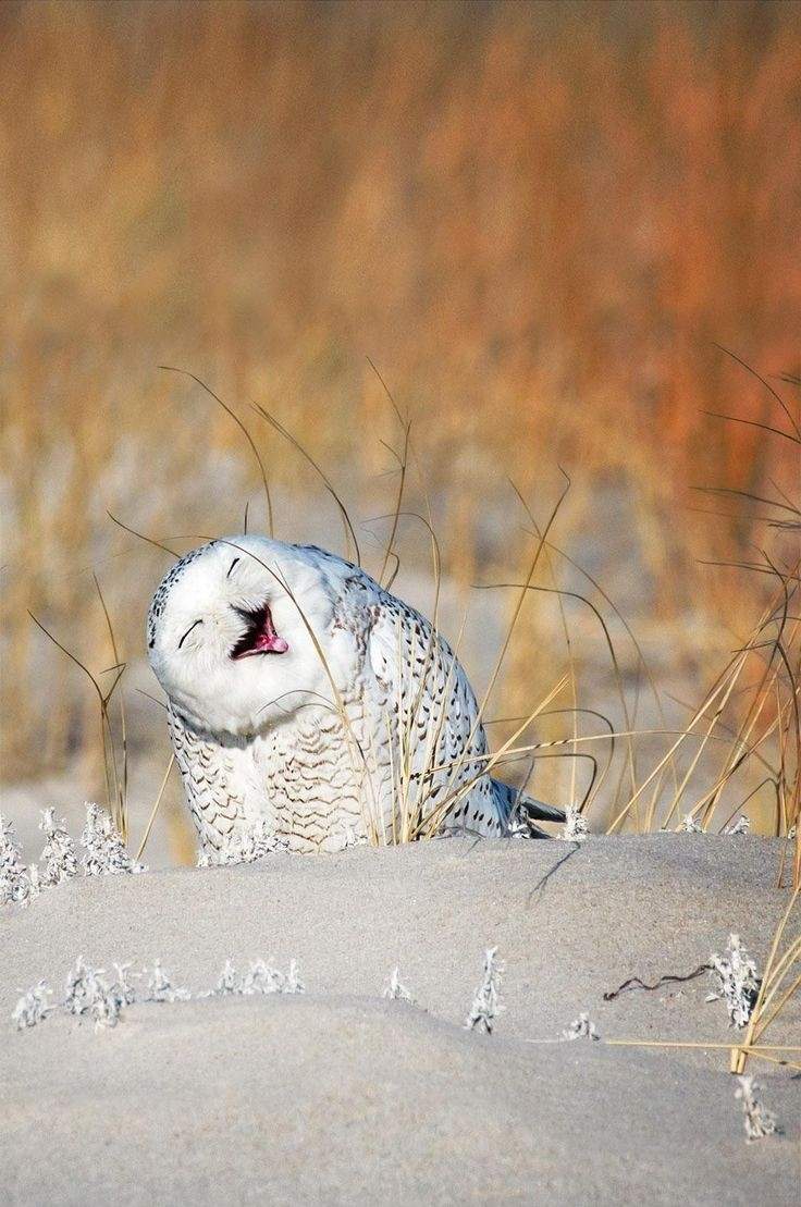 Solve Úsměv_Smile jigsaw puzzle online with 35 pieces