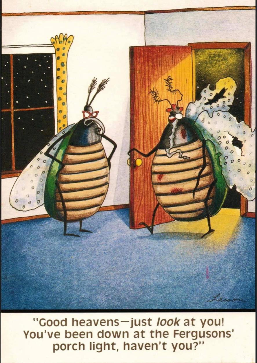 Solve Good heavens! jigsaw puzzle online with 70 pieces