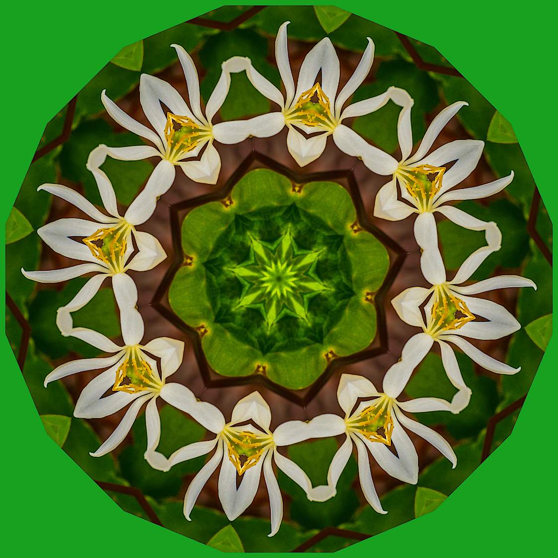 Jigsaw Puzzle 2 small 64 pieces Jigidi