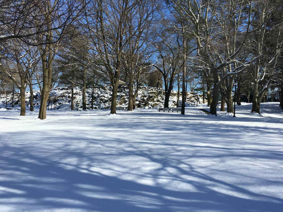 Solve Powder House Park in Winter jigsaw puzzle online with 88 pieces