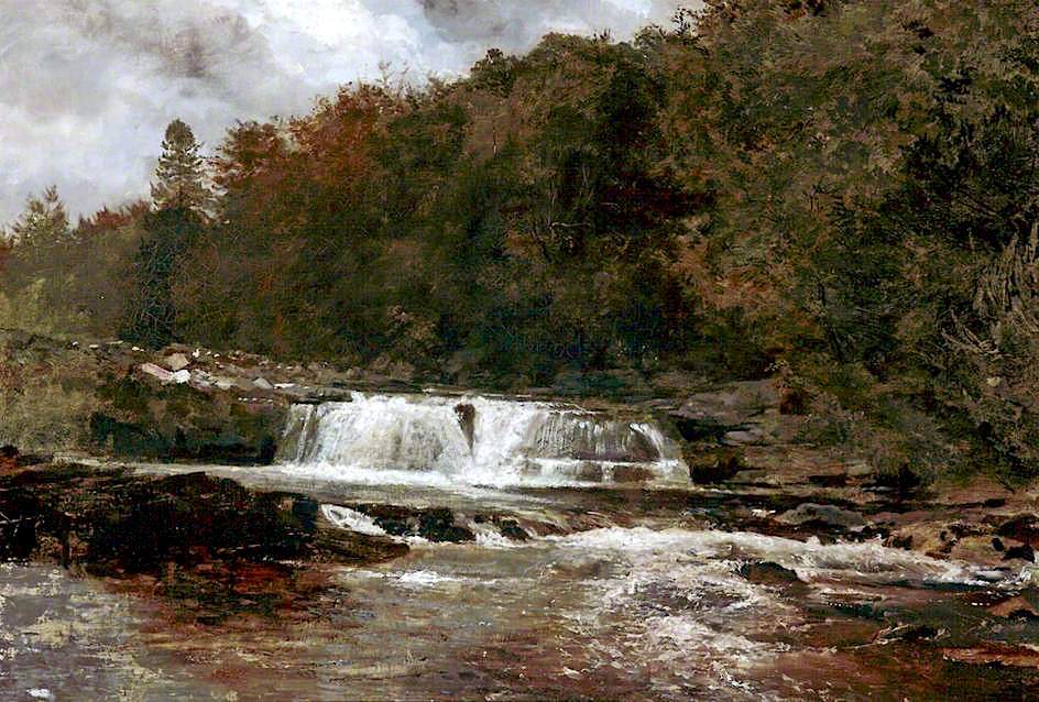 Solve William Davis—Salmon Leap on the River Liffey, near Dublin jigsaw