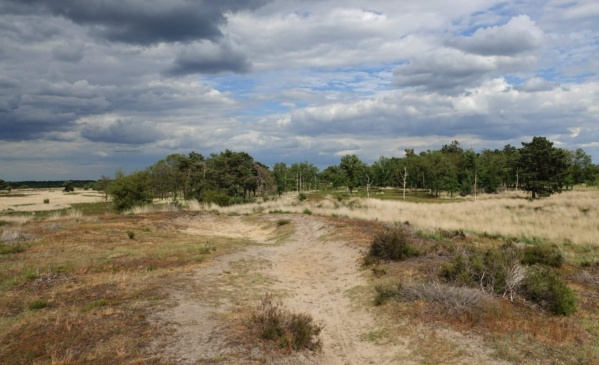 Solve De Peel jigsaw puzzle online with 600 pieces