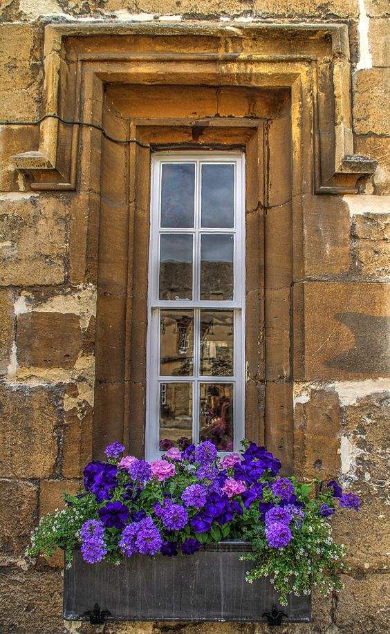 Jigsaw Puzzle BEAUTIFUL WINDOW 60 pieces Jigidi