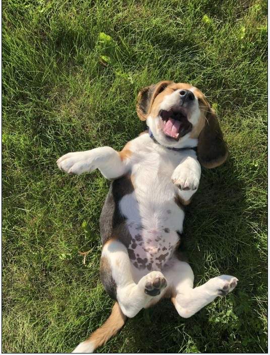 Solve Úsměv_Smile jigsaw puzzle online with 30 pieces