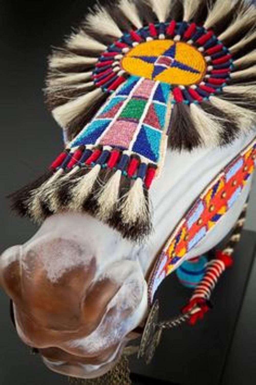 Solve Nez Perce Horse quillwork regalia jigsaw puzzle online with 260 pieces