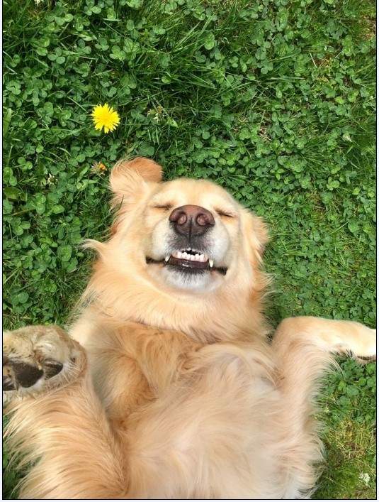 Solve Úsměv_Smile jigsaw puzzle online with 35 pieces