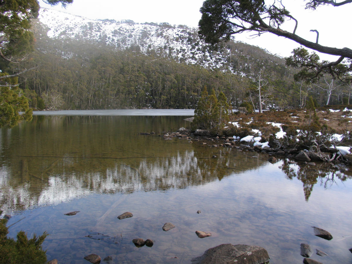 Solve Partial thaw, Lake Dodson, Mt.Field Nat. Park, Tasmania jigsaw