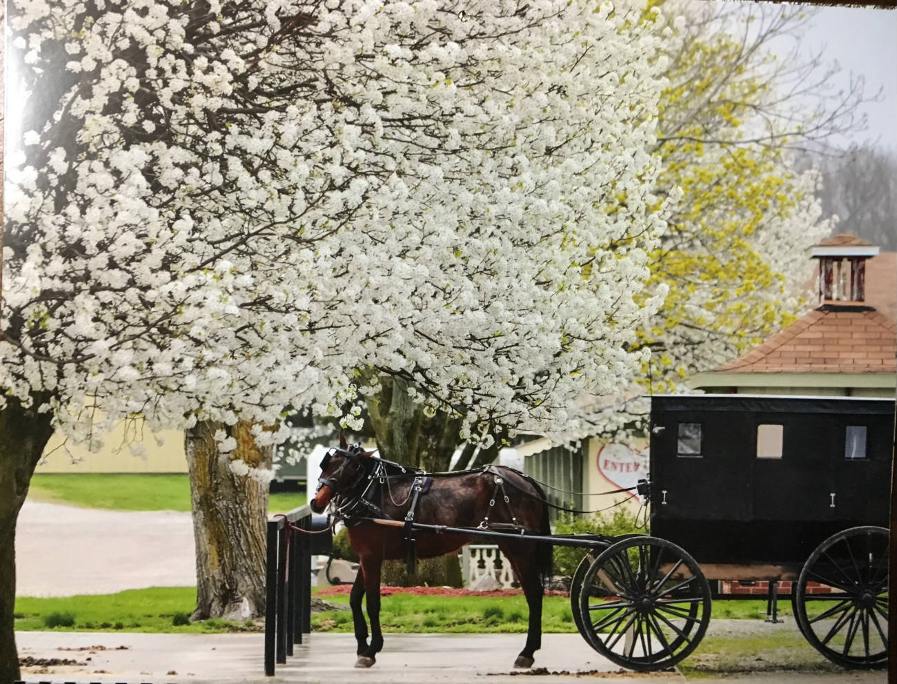 Solve Rockome Gardens outside Arcola IL, part II jigsaw puzzle online