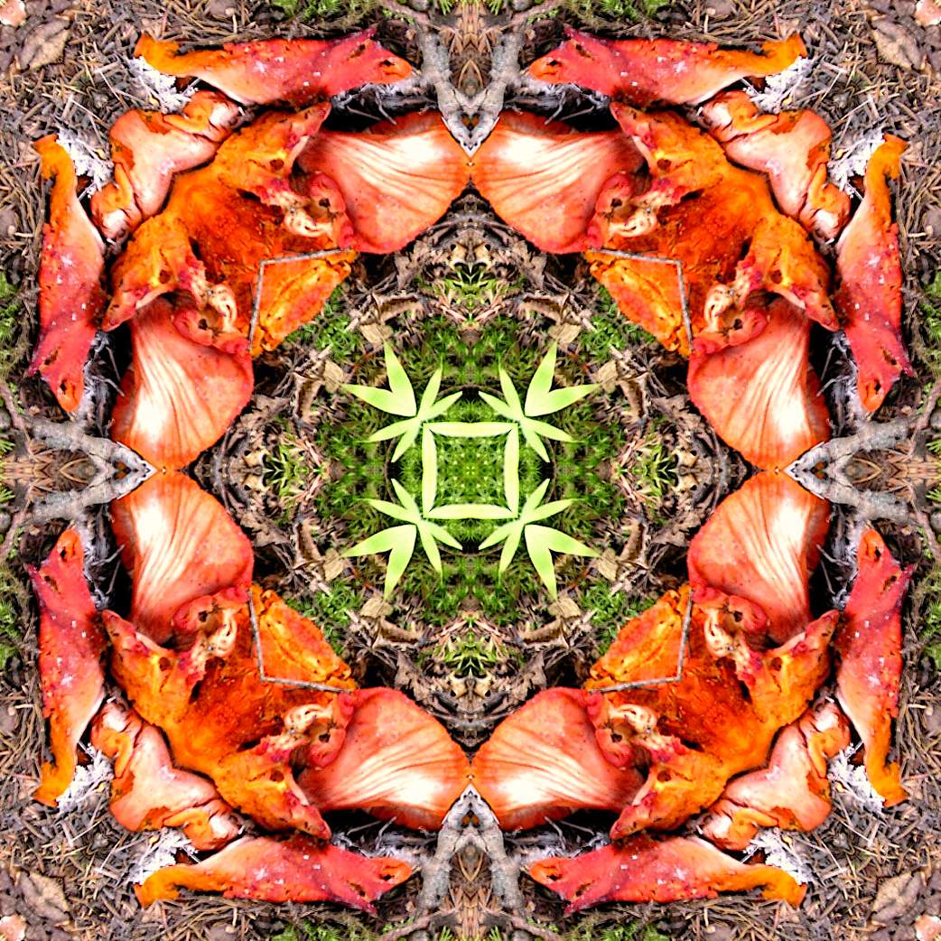 Jigsaw Puzzle 1 very small 25 pieces Jigidi