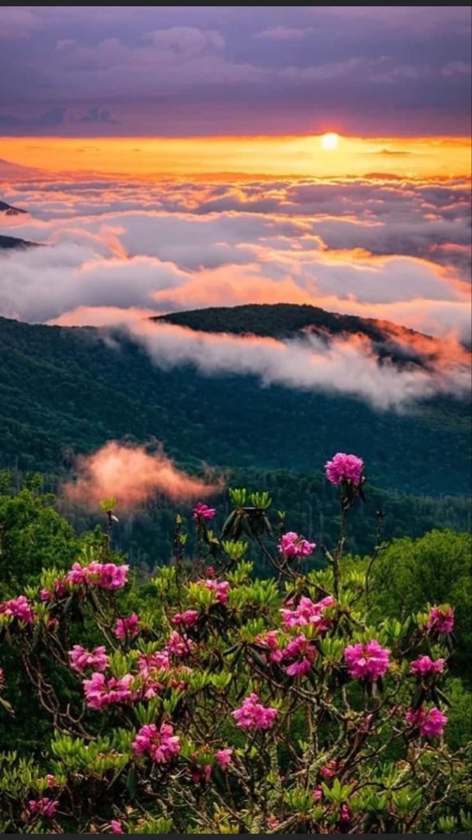 Solve Blue Ridge Parkway jigsaw puzzle online with 84 pieces