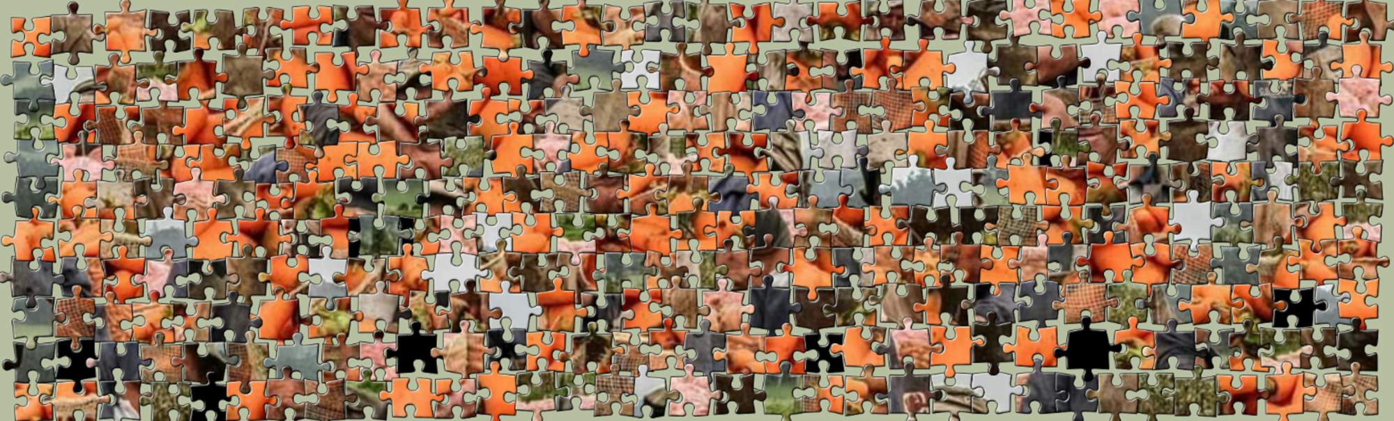 Solve collage jigidi jigsaw puzzle online with 154 pieces