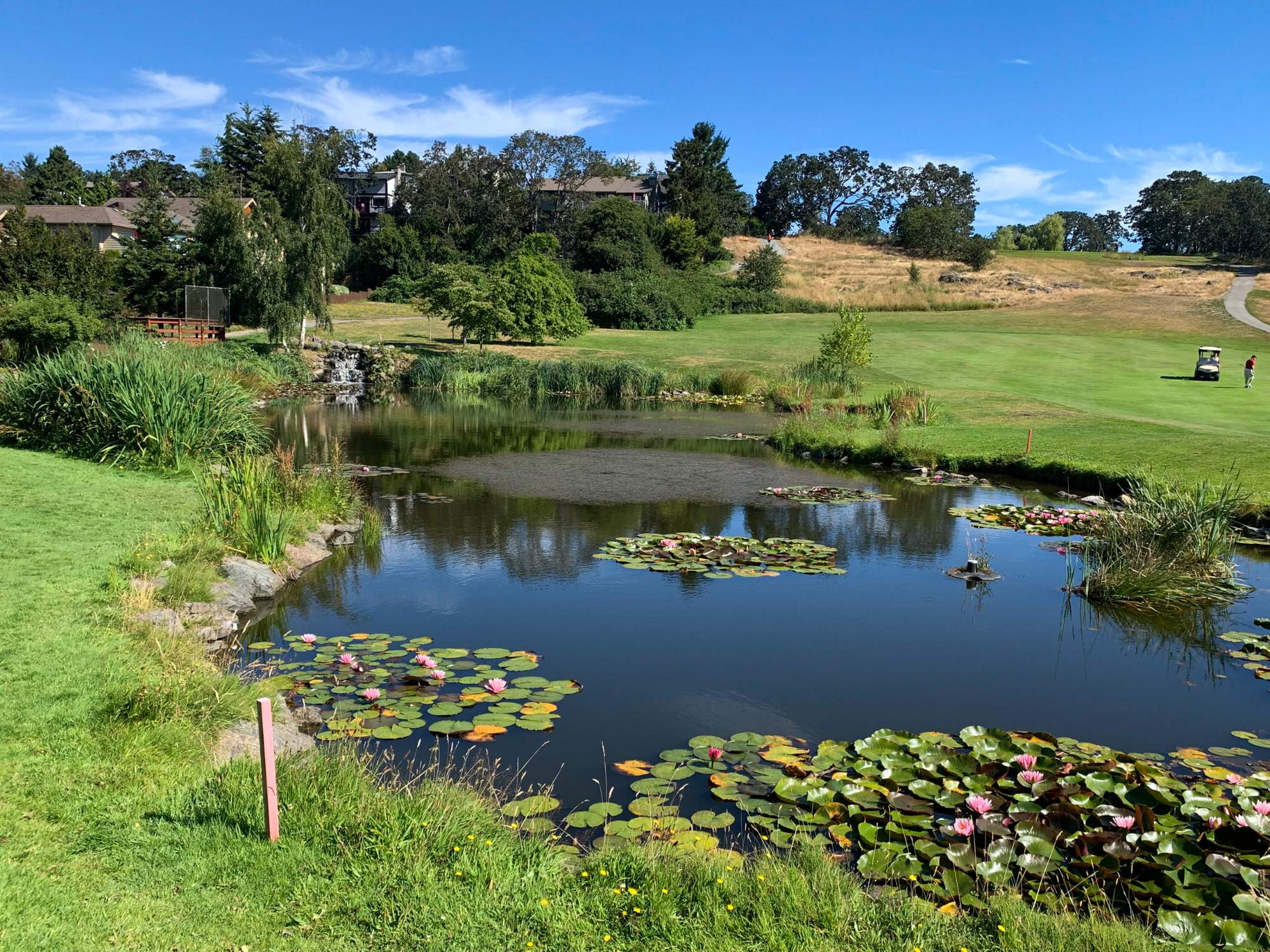 Solve A pond in the Cedar Hill Golf Course in Saanich jigsaw puzzle