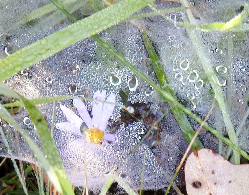 Solve Under an outdoor drapery. jigsaw puzzle online with 12 pieces