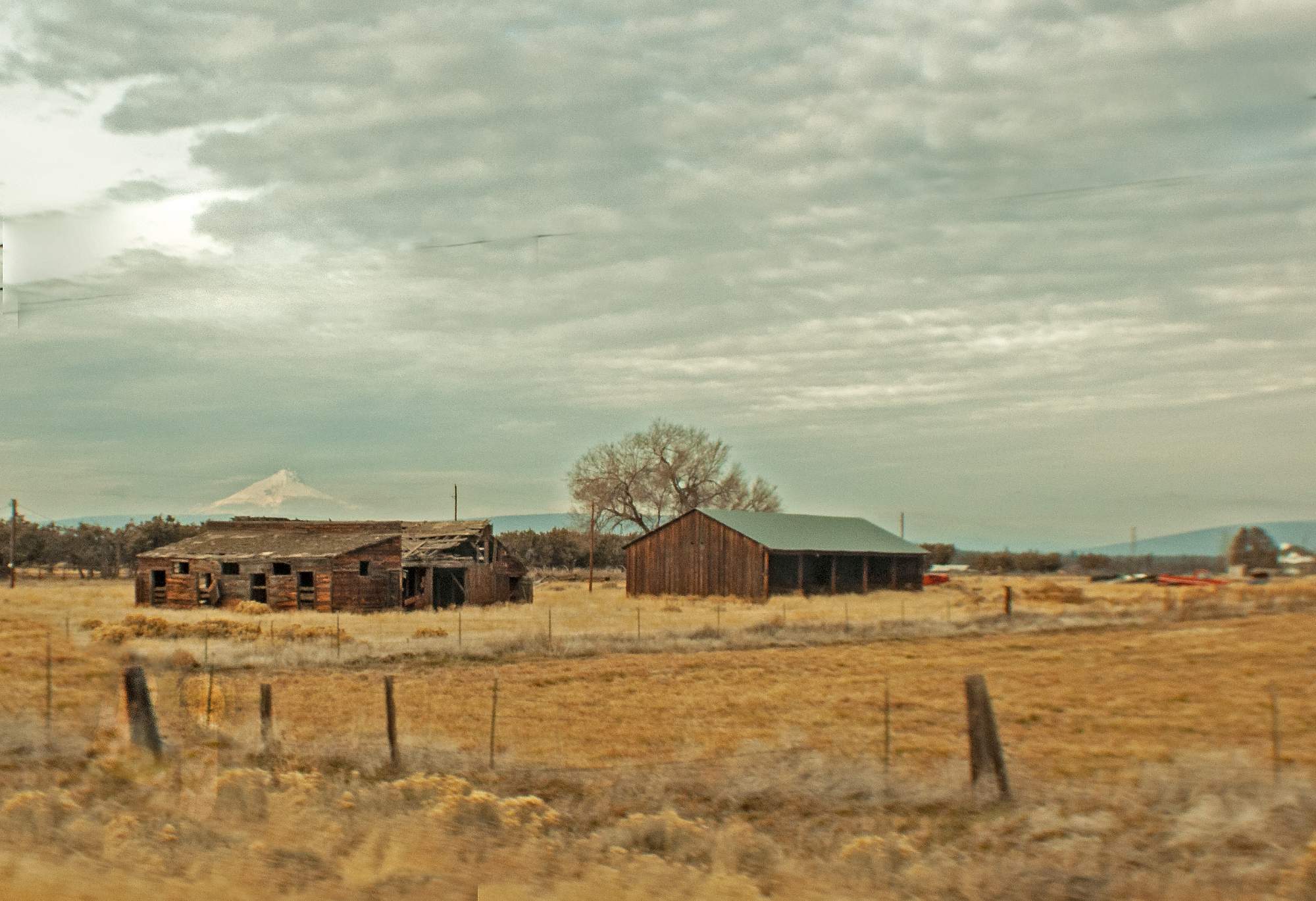 Solve _near Sisters Oregon jigsaw puzzle online with 247 pieces