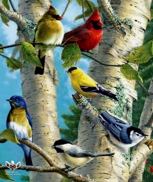 Jigsaw Puzzle Animal World 80 pieces Jigidi