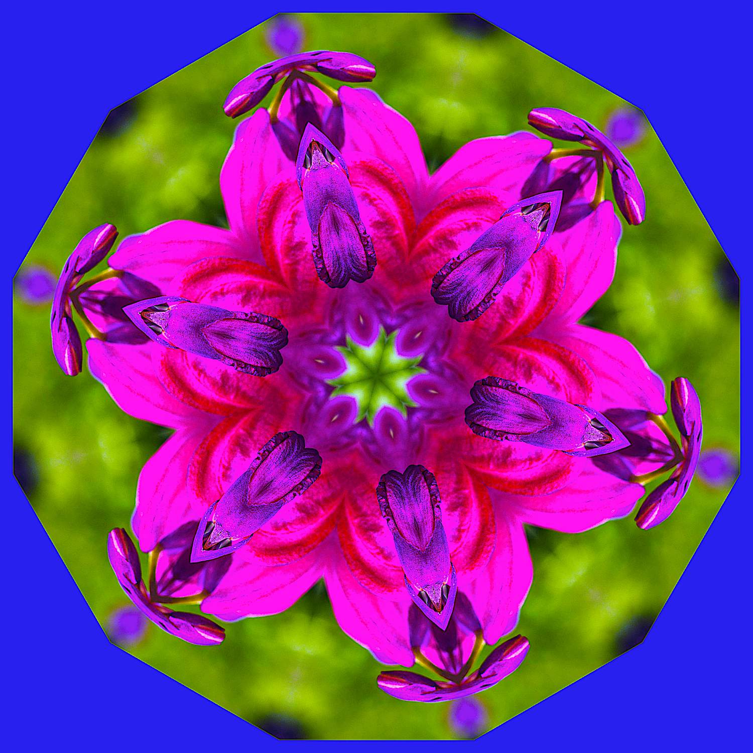 Solve 2 Large Jigsaw Puzzle Online With 144 Pieces solve-2-large-jigsaw-puzzle-online-with-144-pieces