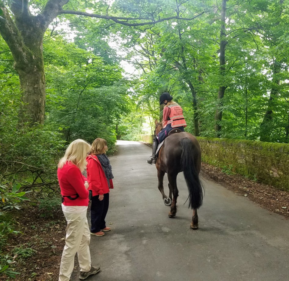 Solve Making way for the horse and rider jigsaw puzzle online with 16 ...