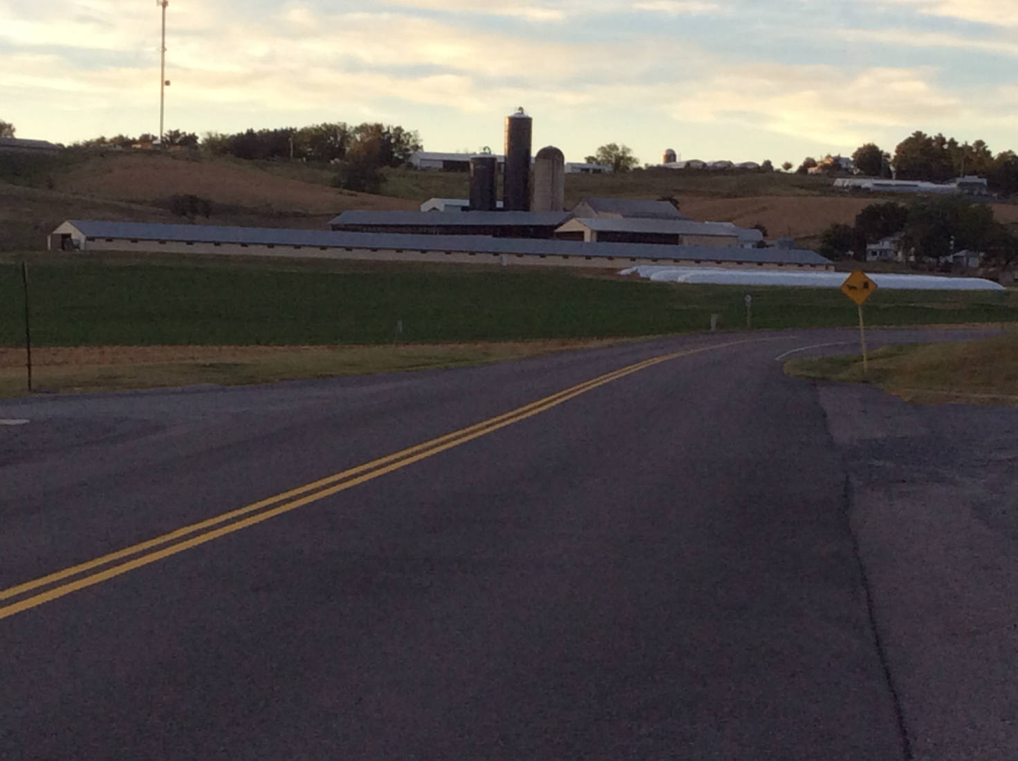 Solve Harrisonburg Virginia poultry farm jigsaw puzzle online with 165