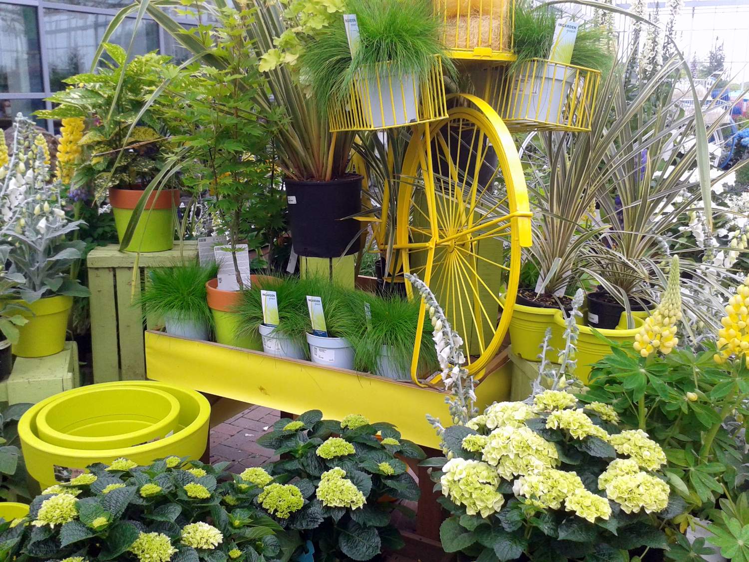 Local Garden Maintenance Companies