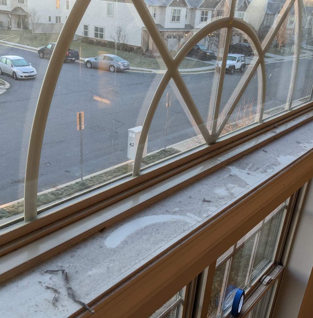 Solve Dust bunny infestation jigsaw puzzle online with 25 pieces