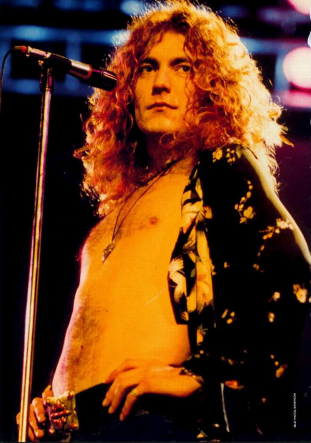 Solve Robert Plant (Led Zeppelin) jigsaw puzzle online with 35 pieces
