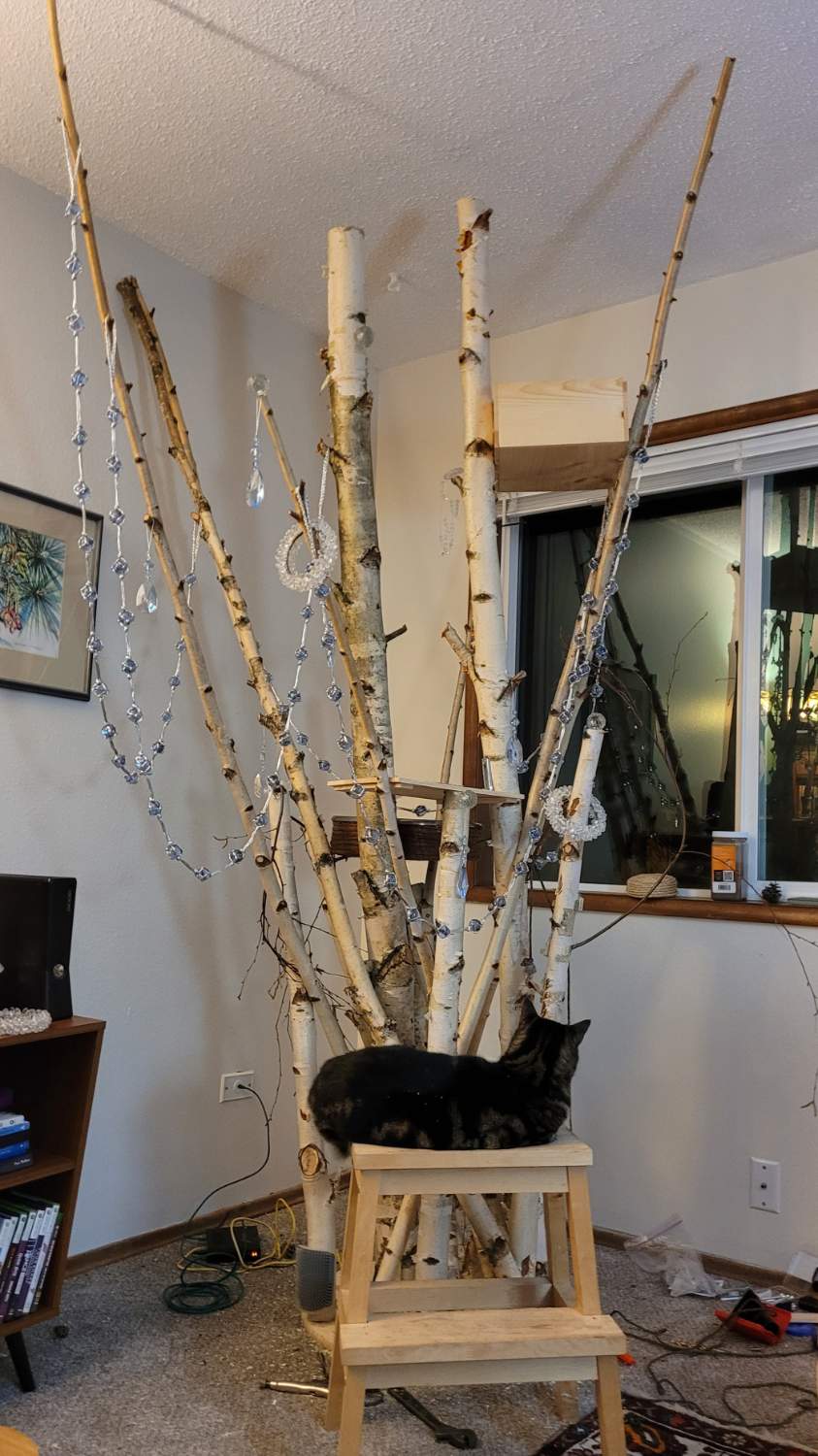 Solve Kate the Cat New Cat Tree jigsaw puzzle online with 84 pieces