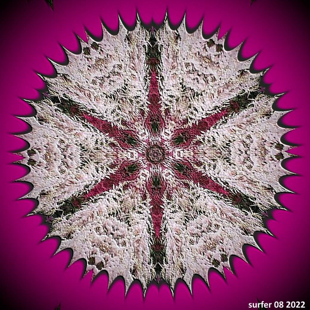 Solve 1659906458 jigsaw puzzle online with 25 pieces