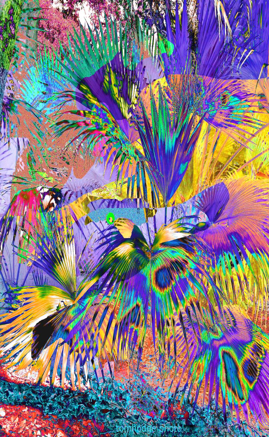 Solve jigidi 220913 jigsaw puzzle online with 400 pieces