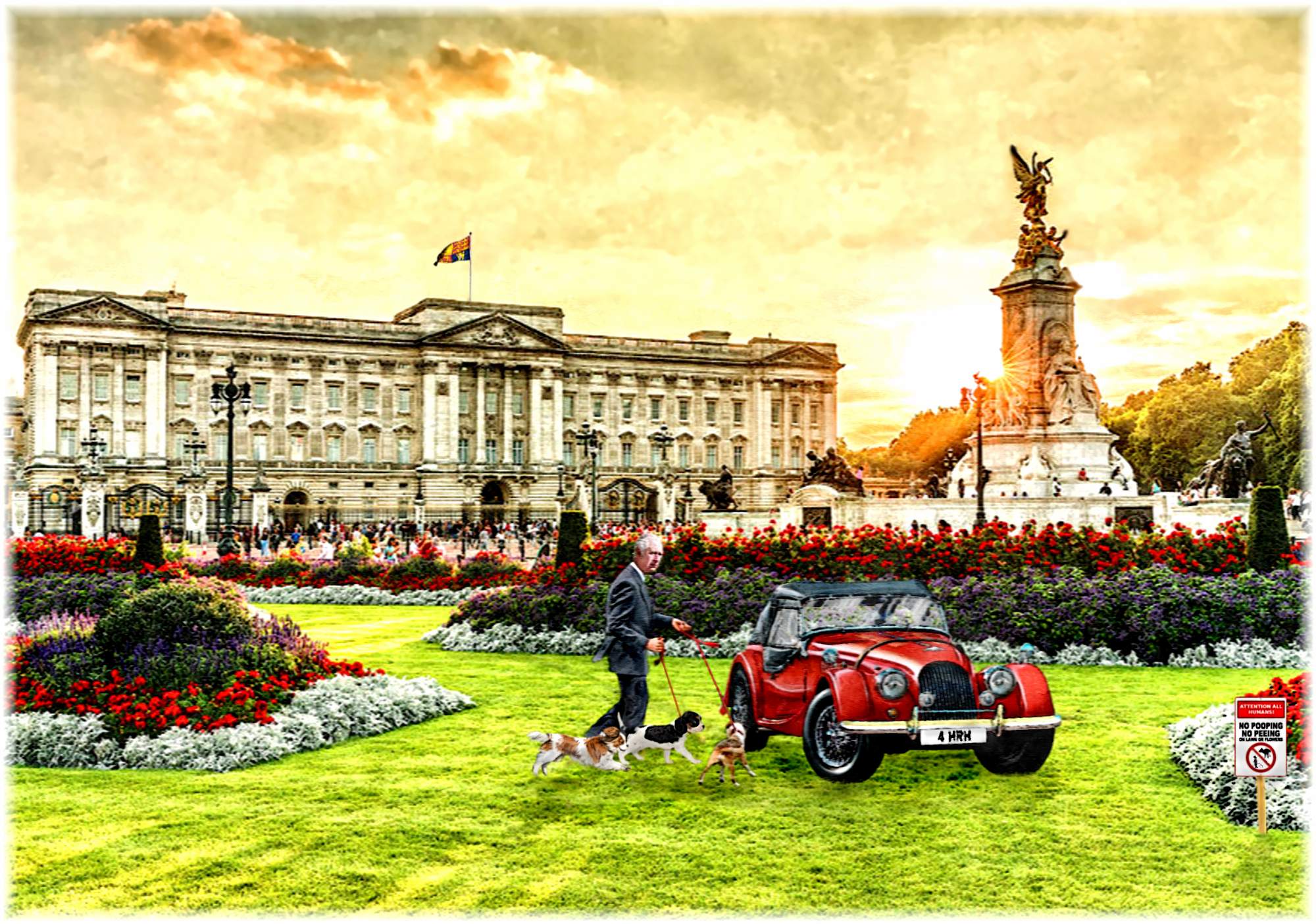 Solve His Majesty's loyalest subjects, being taken for a poop run, can