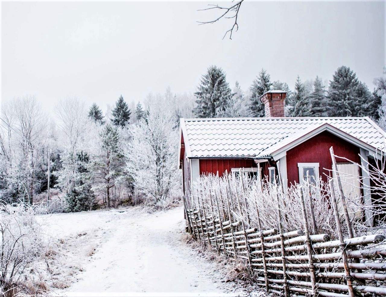 Solve Unusual Fence jigsaw puzzle online with 35 pieces