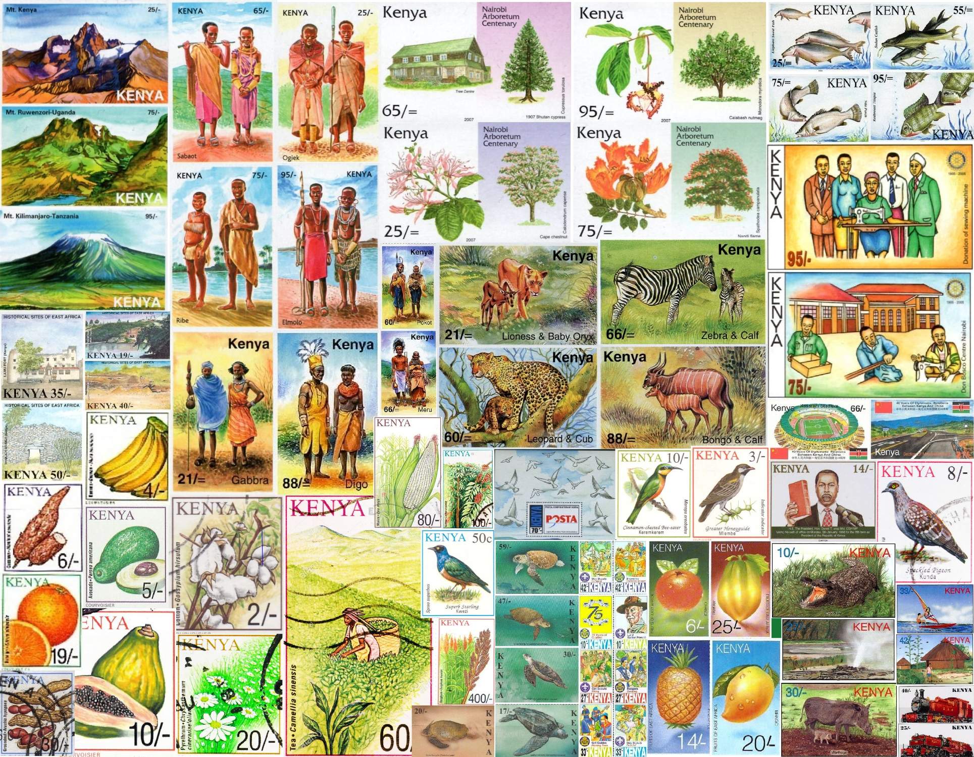 Solve KENYA 2 jigsaw puzzle online with 221 pieces