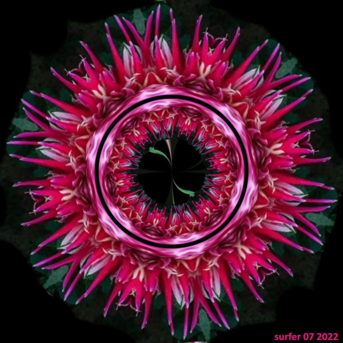 Solve Exploding Bloom jigsaw puzzle online with 169 pieces