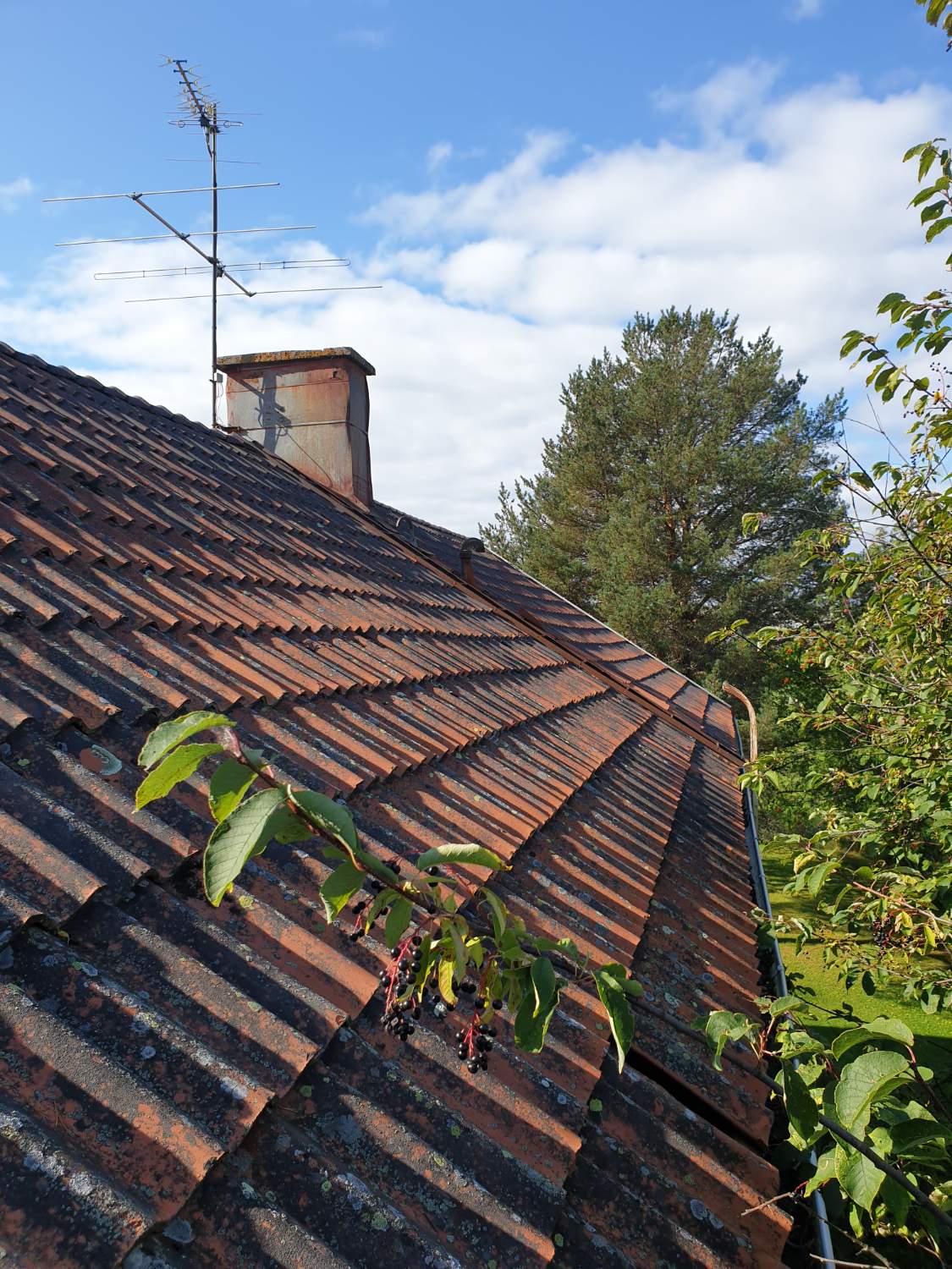 Solve Beautiful roof jigsaw puzzle online with 252 pieces