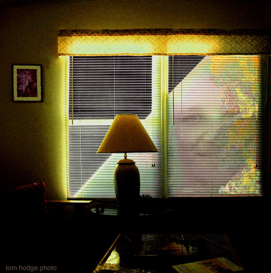 Solve jigidi 221013 face in the window jigsaw puzzle online with 81 pieces