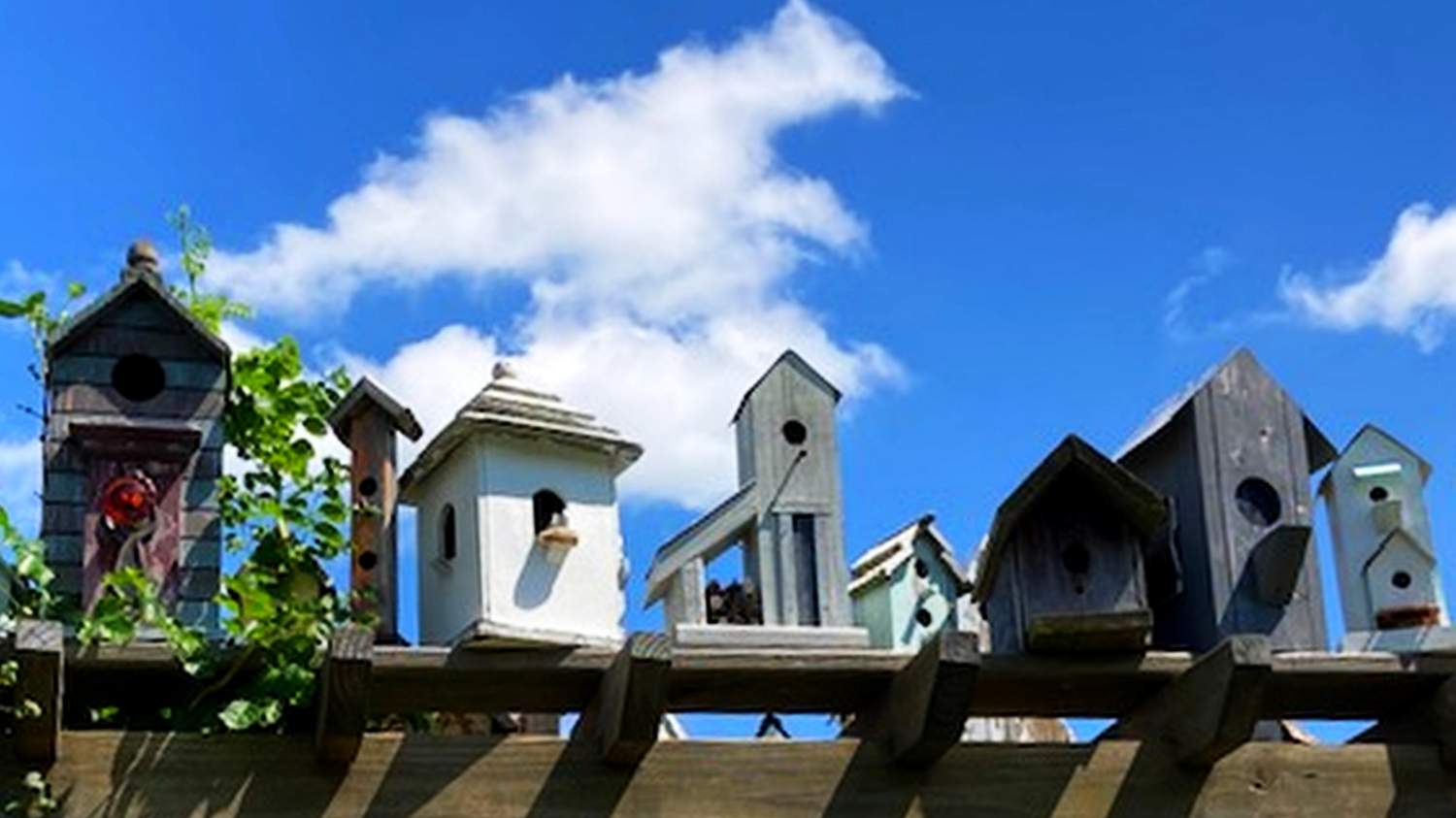 Solve birdhouses jigsaw puzzle online with 60 pieces