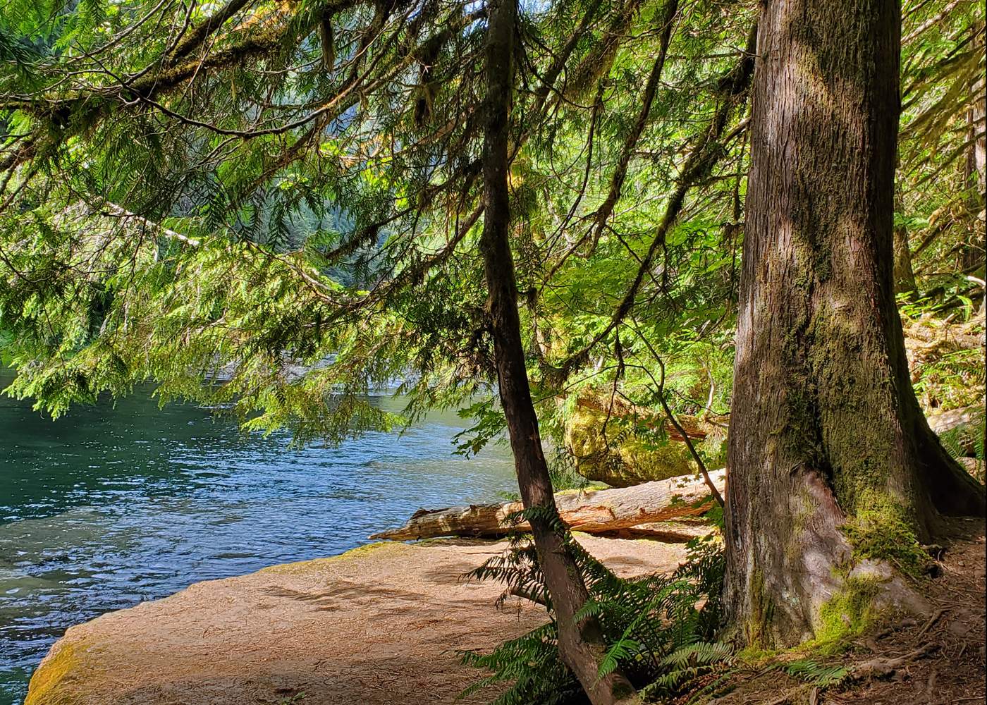 Solve Lewis River jigsaw puzzle online with 108 pieces
